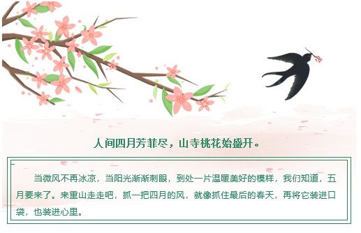 【重山影像】重山芳菲初夏近，萬物逢時皆美好